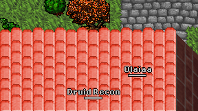 Druid Recon on screen