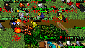 Matejek Druidek on screen