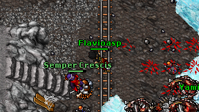 Flavioasp on screen