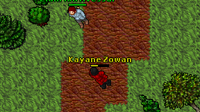 Kayane Zowan on screen
