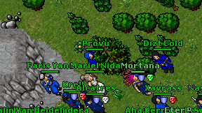 Provu on screen
