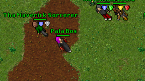Pala Bos on screen