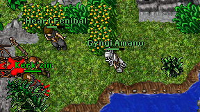 Gyngi Amano on screen