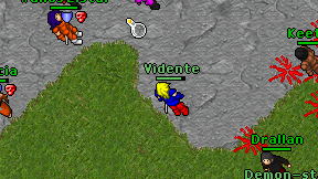 Vidente on screen