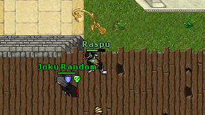 Raspu on screen