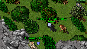 Master Falcony on screen