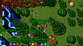 Lady Tsukira on screen