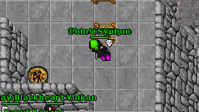 Stealth Rogue on screen