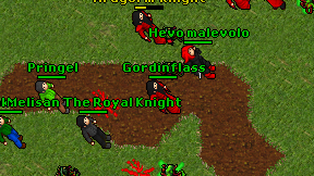 Gordinflass on screen