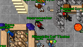 Neuromentor on screen