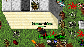 Moon-Rise on screen