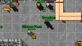 Dralion on screen