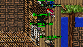 Posiek Druid on screen