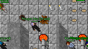 Mago Mu Druid on screen