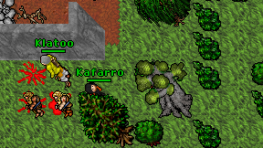 Kafarro on screen