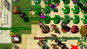 Skitzowalker on screen