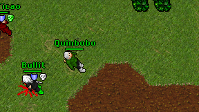 Quinbobo on screen