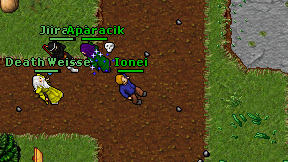 Ionei on screen