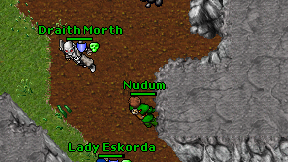 Nudum on screen