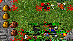 Shejk-per on screen