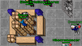 Elnin Brius on screen