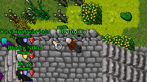 Broocky on screen