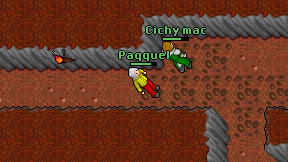 Paqquel on screen