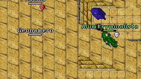 Geonamero on screen