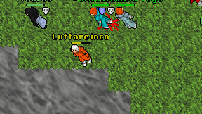 Luffare inco on screen