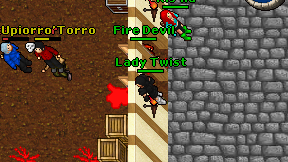 Lady Twist on screen