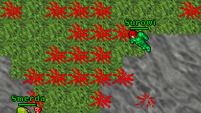 Surowi on screen