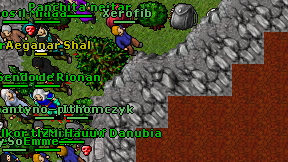Xerofib on screen
