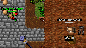 Hawkanbewi on screen