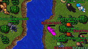 Bombi bitt on screen