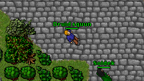 Druid squun on screen