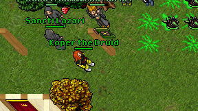 Koper the Druid on screen