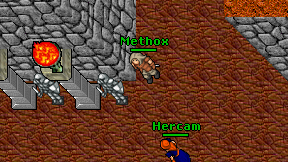 Methox on screen