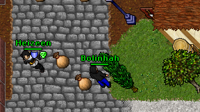 Bolinhah on screen