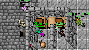 Diboka on screen