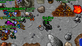 Gajko on screen