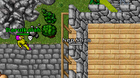 Nep Shan on screen