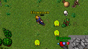 Elomenek on screen