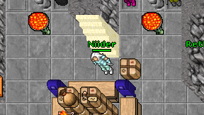 Niider on screen