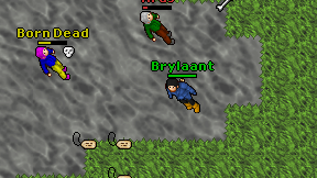 Brylaant on screen