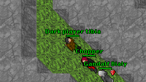 Dark player tibia on screen