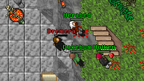 Dremera on screen