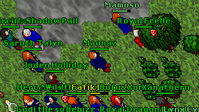 Maonaz on screen