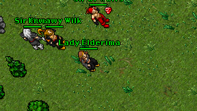 Lady Elderima on screen