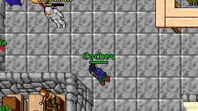 Zockev on screen