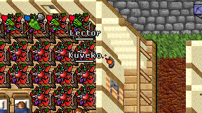 Kuveko on screen